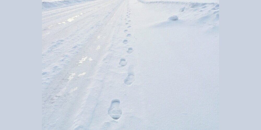 雪原の足跡